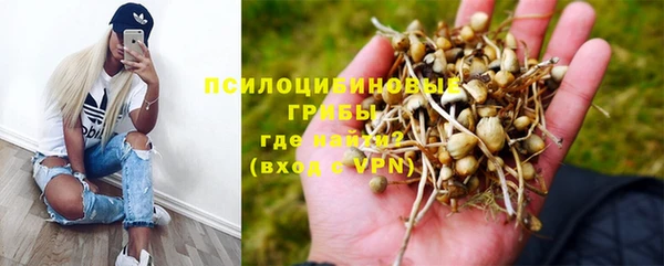 каннабис Верея