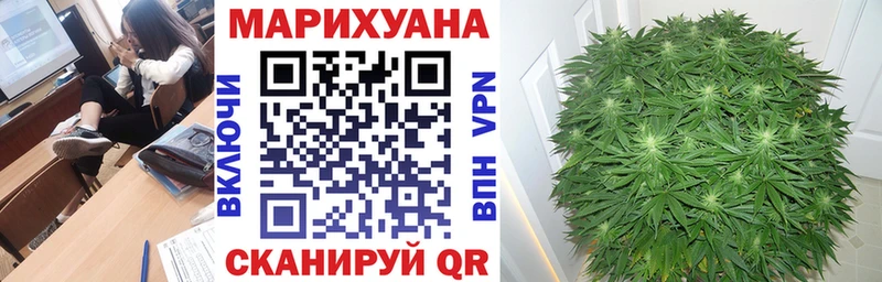 Конопля ГИДРОПОН  Черноголовка 